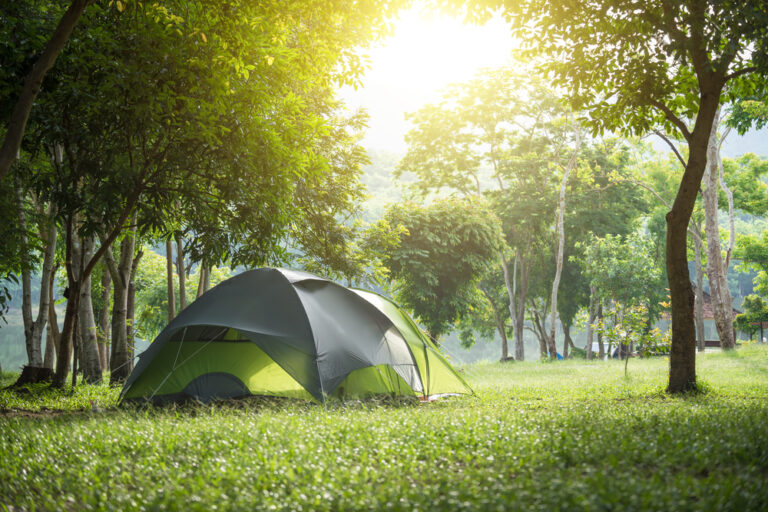 a tent pitched in a grassy area
