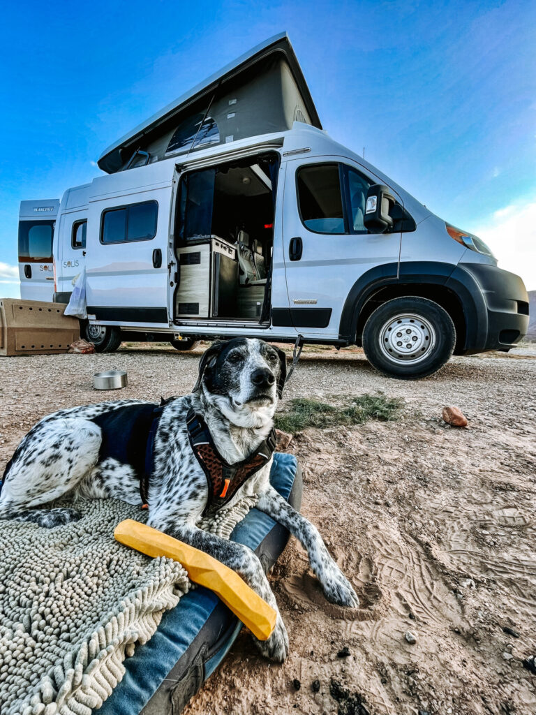 a dog in front of a Class B camper
