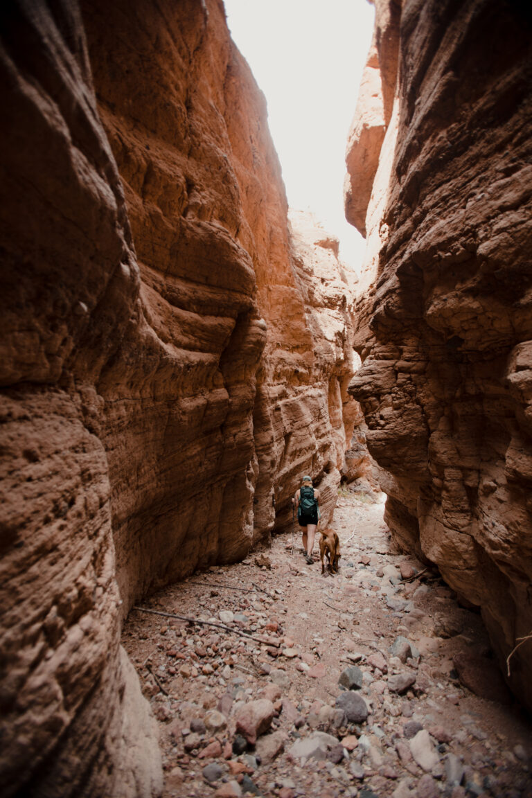 a person and dog hiking through a slot canyon