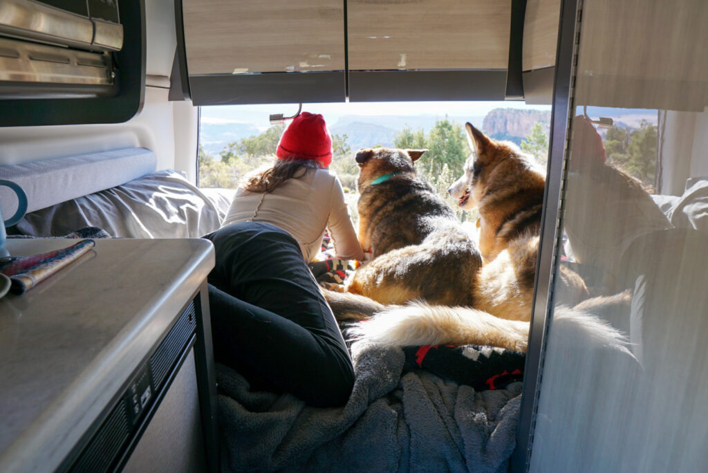 a woman and her dogs in a campervan