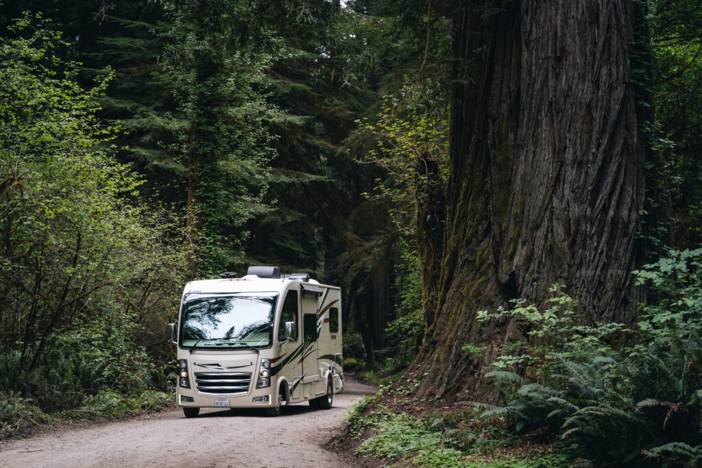 a Class A motorhome driving in the forest