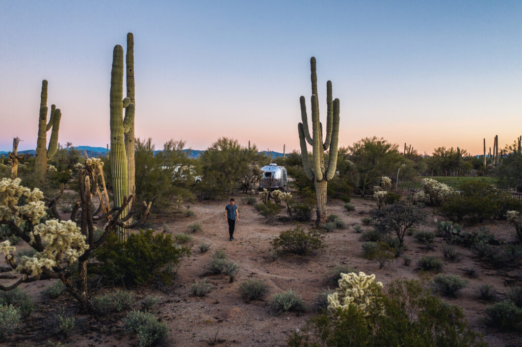 an Airstream parked among desert cacti