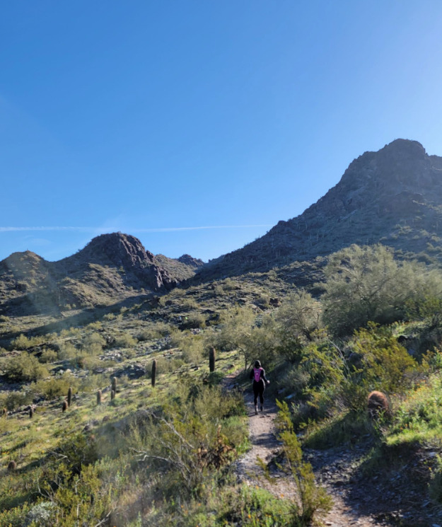 The Freedom Trail in Phoenix, AZ