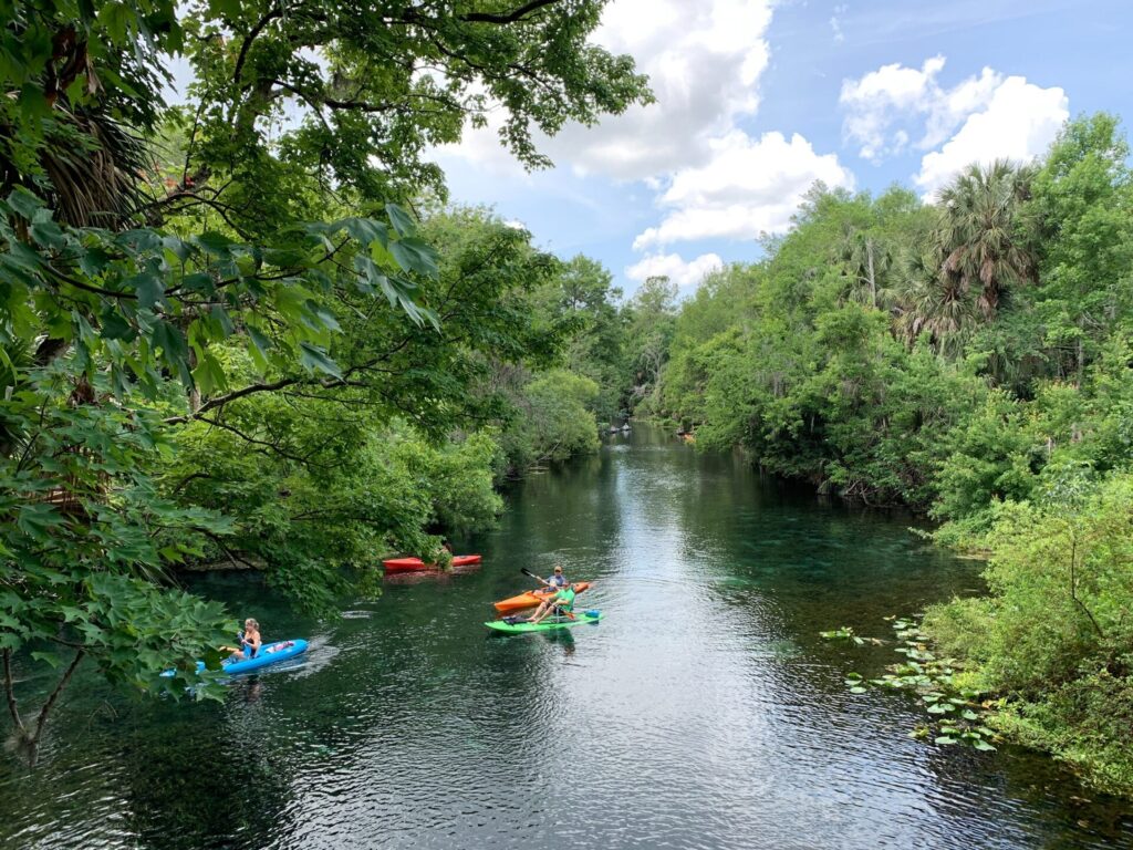 People paddling at Silver Springs State Park